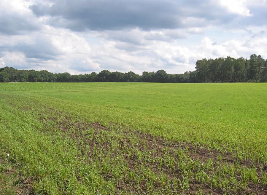 Landschap Markenwet